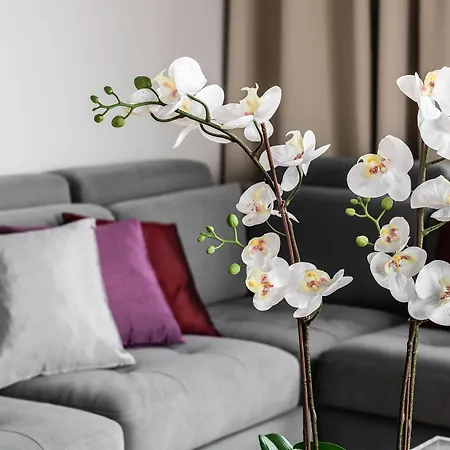 Old Town - River Point By Welcome