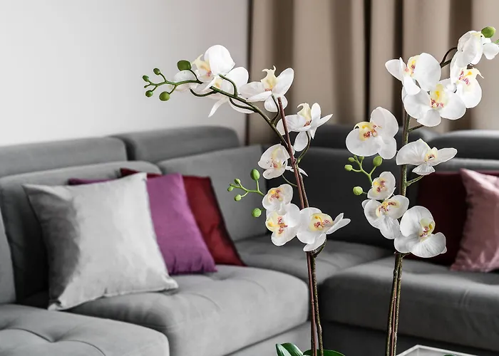 Old Town - River Point By Welcome